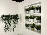 15 deco planten + potten - afbeelding 9 van  10