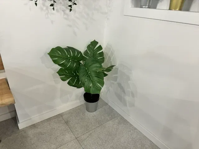 15 deco planten + potten - afbeelding 10 van  10