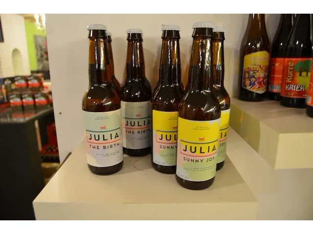 15 fl. bier st.hubertus hop 33cl, 6 fl. de maeght van gottem 33cl, 4 fl. de bie velo bier 33cl, 2 fl. dormaal new tildonk 33cl, 3 fl. zurre kriek 33cl, 7 fl. julia sunny joy 33cl, 5 fl. the birth 33cl - afbeelding 19 van  30