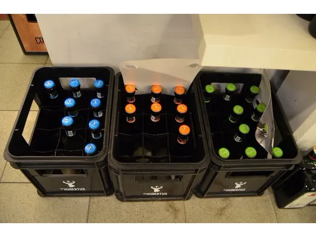 15 fl. bier st.hubertus hop 33cl, 6 fl. de maeght van gottem 33cl, 4 fl. de bie velo bier 33cl, 2 fl. dormaal new tildonk 33cl, 3 fl. zurre kriek 33cl, 7 fl. julia sunny joy 33cl, 5 fl. the birth 33cl - afbeelding 22 van  30