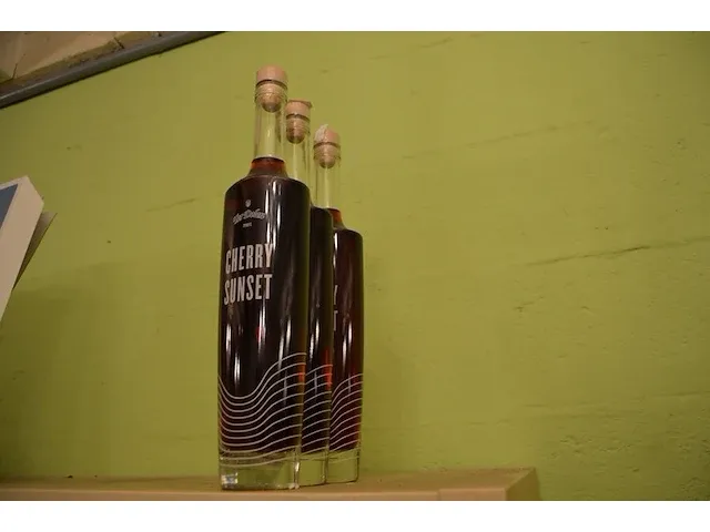 15 fl. bier st.hubertus hop 33cl, 6 fl. de maeght van gottem 33cl, 4 fl. de bie velo bier 33cl, 2 fl. dormaal new tildonk 33cl, 3 fl. zurre kriek 33cl, 7 fl. julia sunny joy 33cl, 5 fl. the birth 33cl - afbeelding 30 van  30