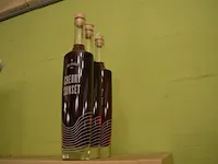 15 fl. bier st.hubertus hop 33cl, 6 fl. de maeght van gottem 33cl, 4 fl. de bie velo bier 33cl, 2 fl. dormaal new tildonk 33cl, 3 fl. zurre kriek 33cl, 7 fl. julia sunny joy 33cl, 5 fl. the birth 33cl - afbeelding 30 van  30