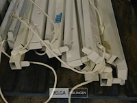 ±15 tl lampen - afbeelding 3 van  4