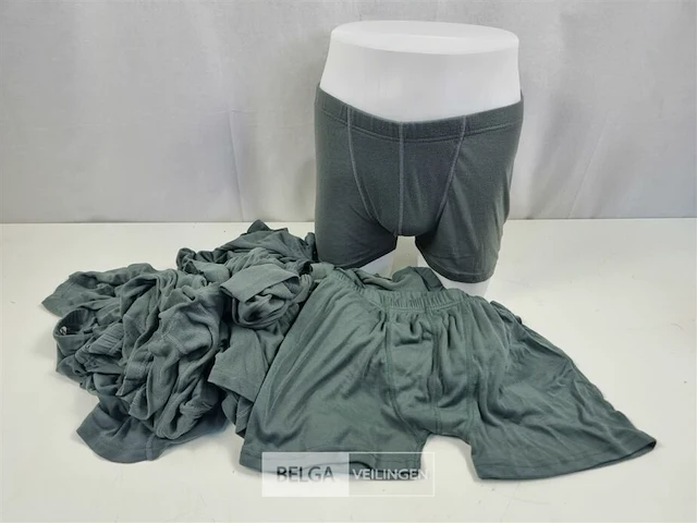 (15x) kpu thermowave boxer heren anti microbieel grijs - afbeelding 1 van  2