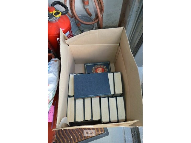 ±16 boeken van auteur evelyn anthony - afbeelding 1 van  4