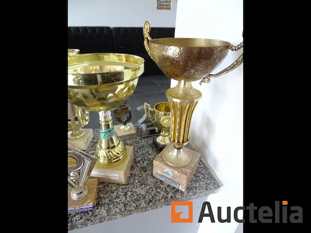 16 diverse bezuinigingen - afbeelding 2 van  10