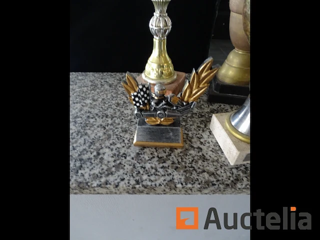 16 diverse bezuinigingen - afbeelding 6 van  10
