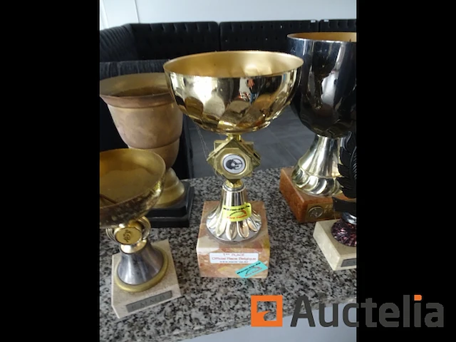16 diverse bezuinigingen - afbeelding 8 van  10