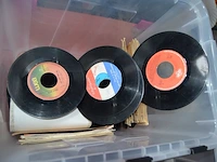 16 duikbrillen, 7 leesbrillen, 3 zonnebrillen, aquarium filter, kampeer stoel, 2 pvc kisten gevuld met diverse vinyl singles - afbeelding 7 van  13