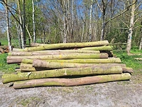 16 stère esdoorn,beuk,boskers - afbeelding 2 van  4
