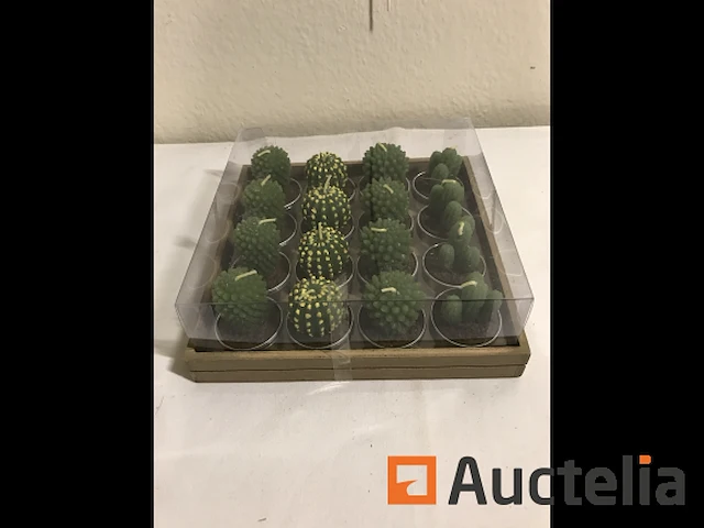 160 cactus kaarsen - afbeelding 1 van  8