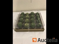 160 cactus kaarsen - afbeelding 1 van  8