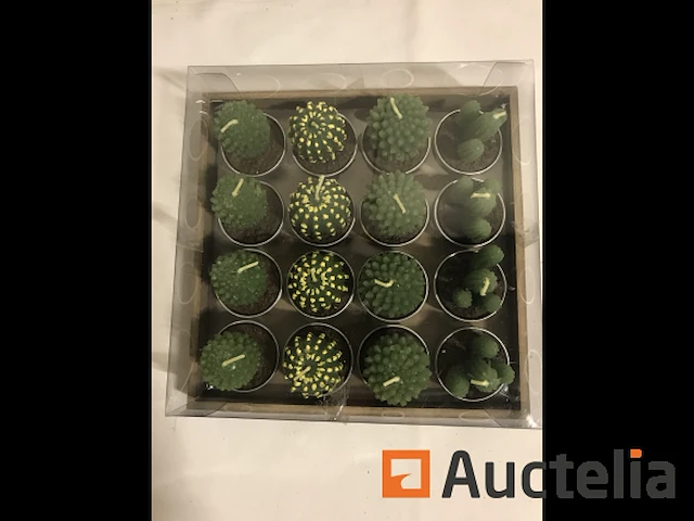 160 cactus kaarsen - afbeelding 3 van  8