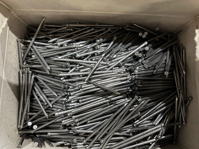 160 dozen nagels - afbeelding 1 van  3