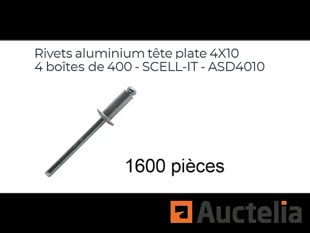 1600 aluminium klinknagels met platte kop 4x10 scell-it asd4010 - afbeelding 1 van  1