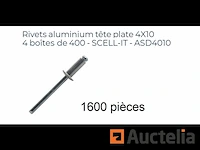 1600 aluminium klinknagels met platte kop 4x10 scell-it asd4010 - afbeelding 1 van  1