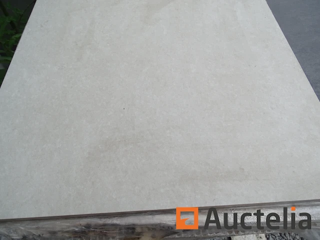 16,67 m² beige tegels 45 x 90 cm - afbeelding 3 van  5