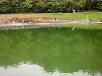 170 meter balustrade - afbeelding 9 van  11
