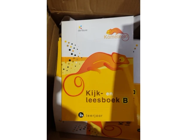 17x doos met diverse rekenboeken - afbeelding 11 van  13