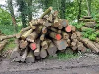 18 stère es - afbeelding 1 van  1