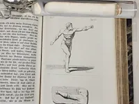 1841 lessing's gesammelte werke boek bundel 1 tot 10 - afbeelding 4 van  5