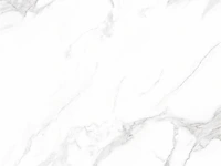 18,72m² 60x60cm marble carrara glossy gerectificeerd - afbeelding 2 van  2