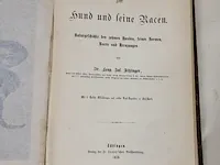 1876 der hund und seine racen door leopold joseph fitzinger - afbeelding 2 van  8