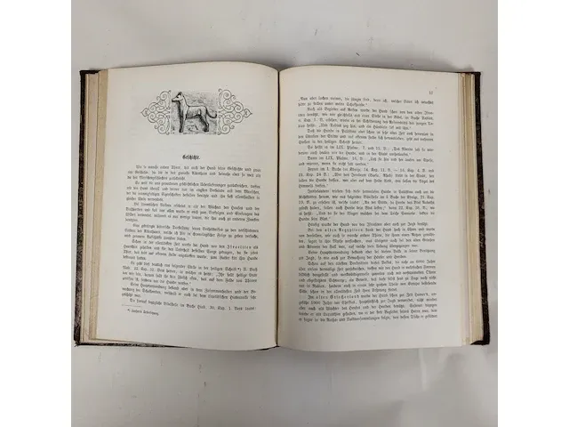 1876 der hund und seine racen door leopold joseph fitzinger - afbeelding 6 van  8