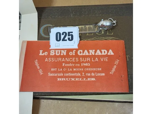 1886 cortège historique des moyens de transport, incl affiche en programma - afbeelding 2 van  20