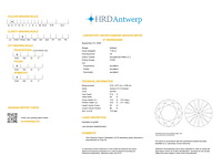 18krt geelgouden ring met 1.02 ct diamant - e/vvs2 - afbeelding 4 van  4