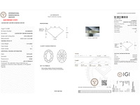 18krt witgouden ring met 1.10 ct ovaal diamant - e/vs1 - afbeelding 4 van  4