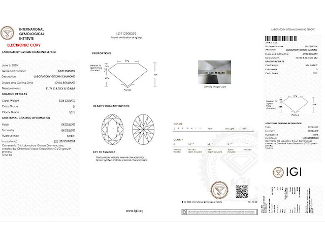18krt witgouden ring met 3.04 ct ovaal diamant - d/vs1 - afbeelding 4 van  4