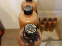 18x diverse sterke dranken - afbeelding 6 van  11