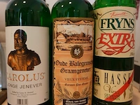 18x diverse sterke dranken - afbeelding 11 van  11
