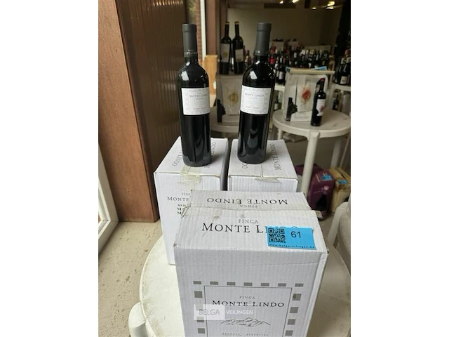 18x1 fles monte lindo 2005 - afbeelding 1 van  6