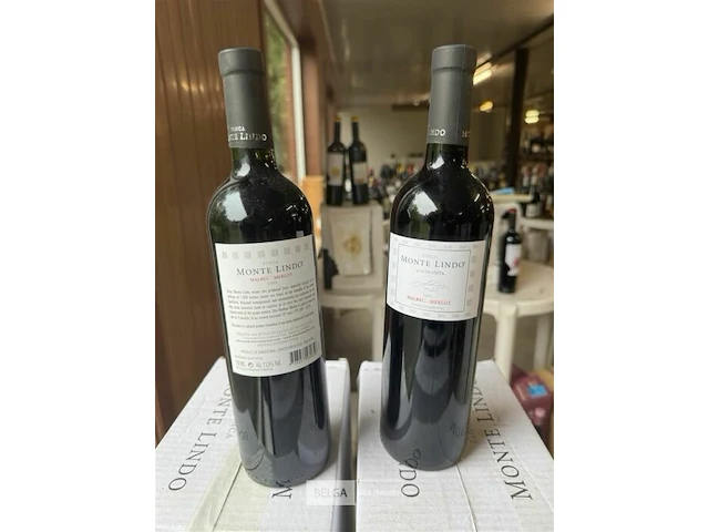 18x1 fles monte lindo 2005 - afbeelding 6 van  6