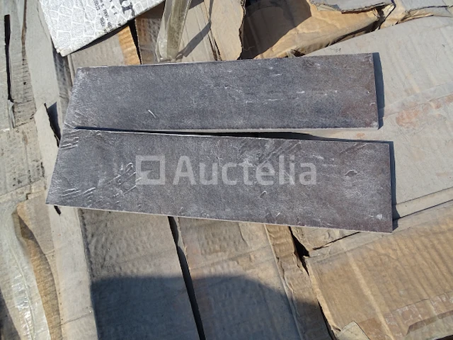 19 m² design wandtegels - afbeelding 1 van  5