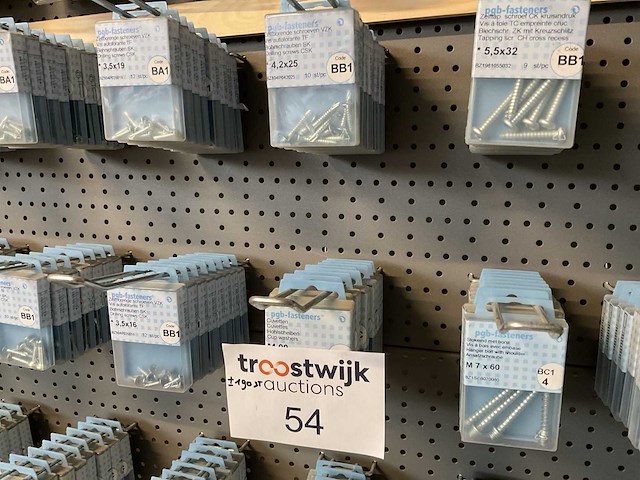 190 blisters met schroeven - afbeelding 4 van  8