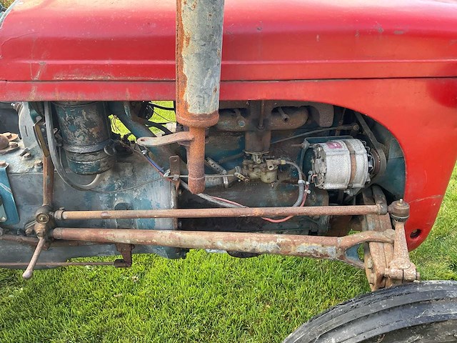 1954 massey ferguson te20 oldtimer tractor - afbeelding 6 van  26