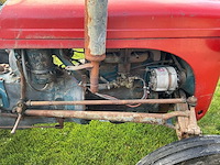 1954 massey ferguson te20 oldtimer tractor - afbeelding 6 van  26