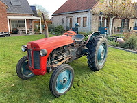 1954 massey ferguson te20 oldtimer tractor - afbeelding 1 van  26