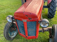1954 massey ferguson te20 oldtimer tractor - afbeelding 15 van  26