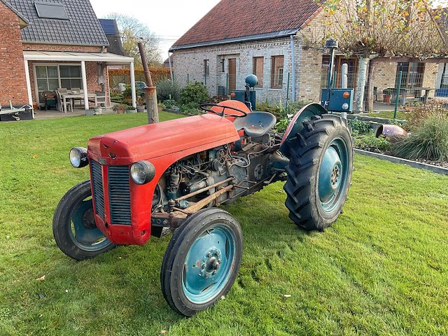 1954 massey ferguson te20 oldtimer tractor - afbeelding 1 van  26