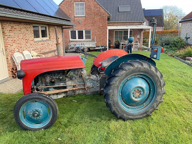 1954 massey ferguson te20 oldtimer tractor - afbeelding 12 van  26