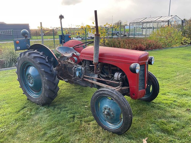 1954 massey ferguson te20 oldtimer tractor - afbeelding 25 van  26