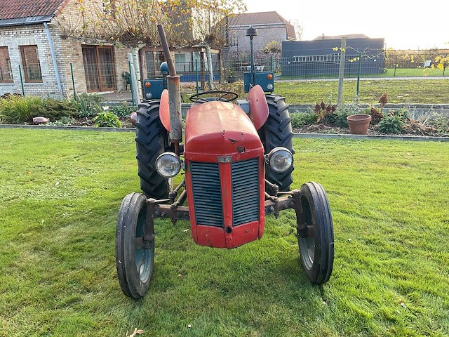 1954 massey ferguson te20 oldtimer tractor - afbeelding 26 van  26