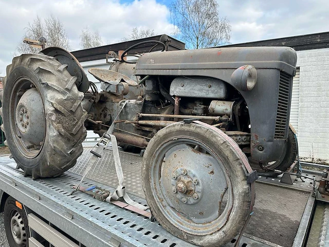 1955 - ferguson - oldtimer tractor - afbeelding 3 van  14