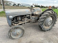 1955 - ferguson - oldtimer tractor