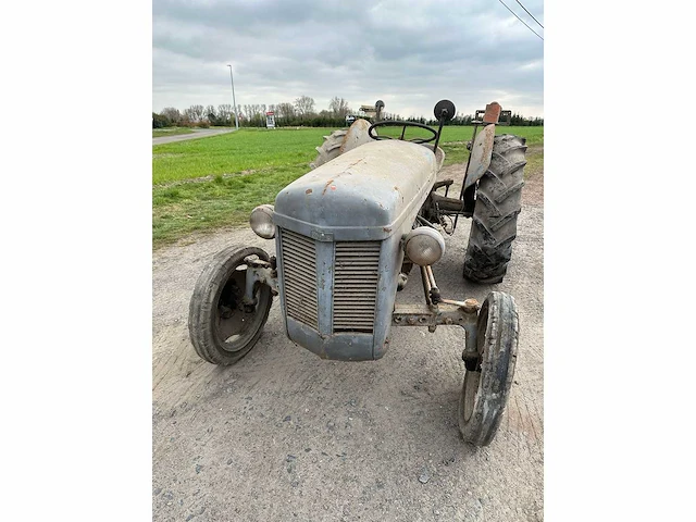 1955 - ferguson - oldtimer tractor - afbeelding 8 van  14