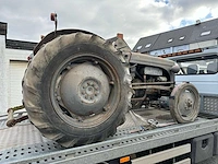 1955 - ferguson - oldtimer tractor - afbeelding 10 van  14